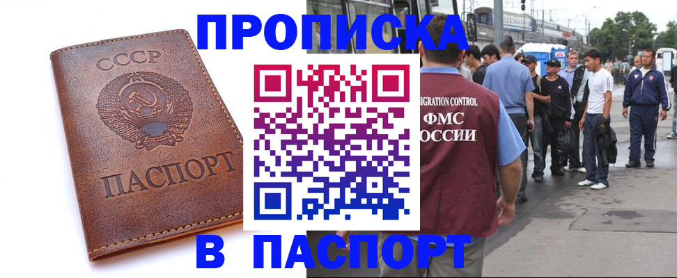 временная регистрация поиск в Чечне
